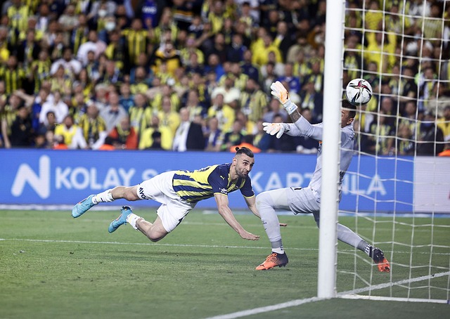 的团队构成 的团队构成