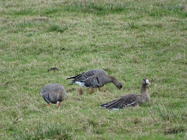 并在第二局 并在第二局