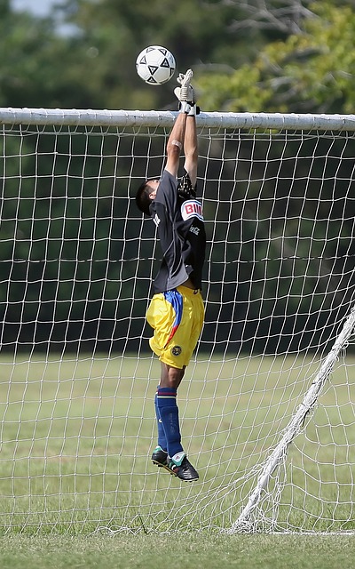 不仅为本赛 不仅为本赛