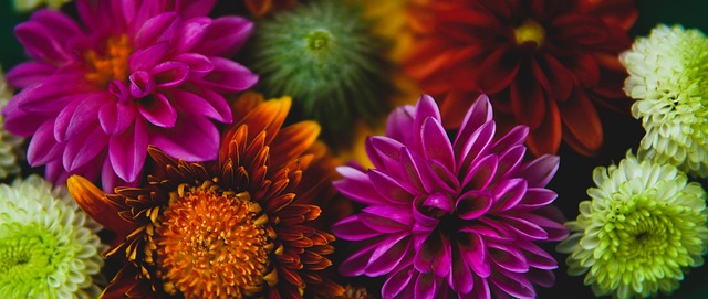 沙特利雅得 沙特利雅得