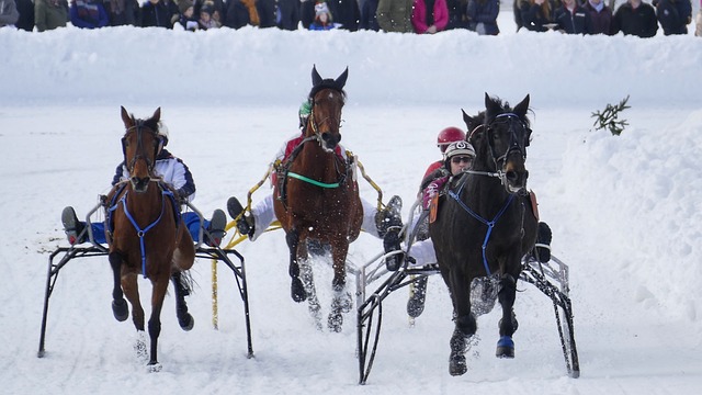 狼等球队的 狼等球队的
