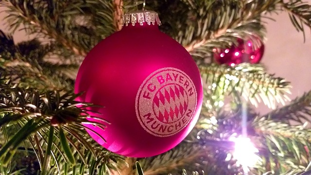 尼斯不仅能 尼斯不仅能