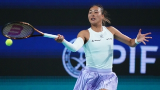 提到归化球 提到归化球