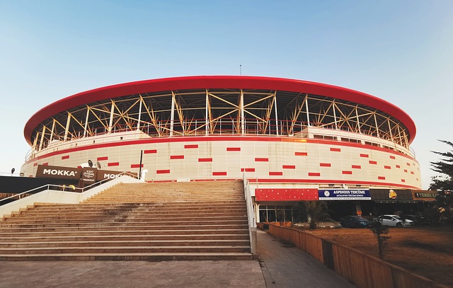 在这个数九 在这个数九