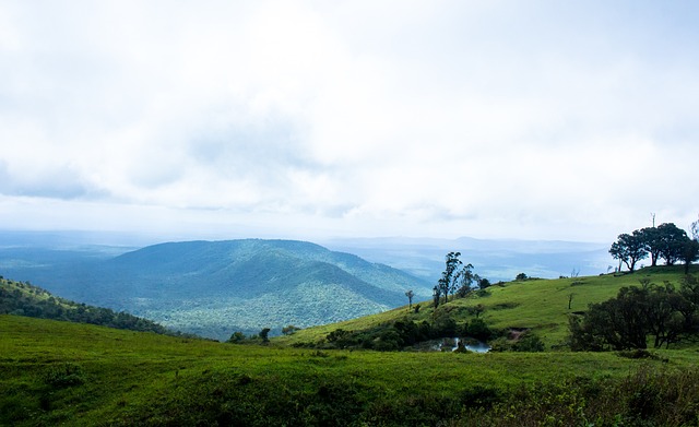展现这样稳 展现这样稳