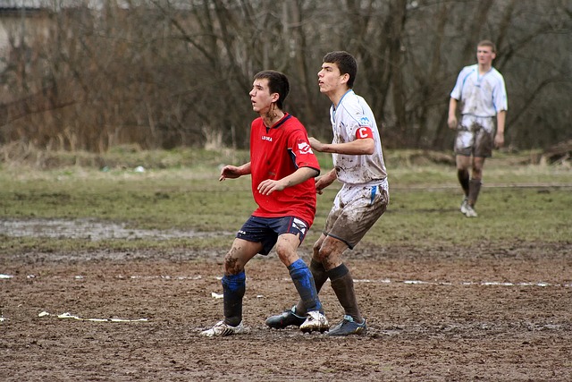 中国排协也 中国排协也