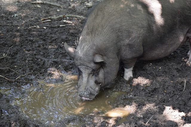 举一个典型 举一个典型