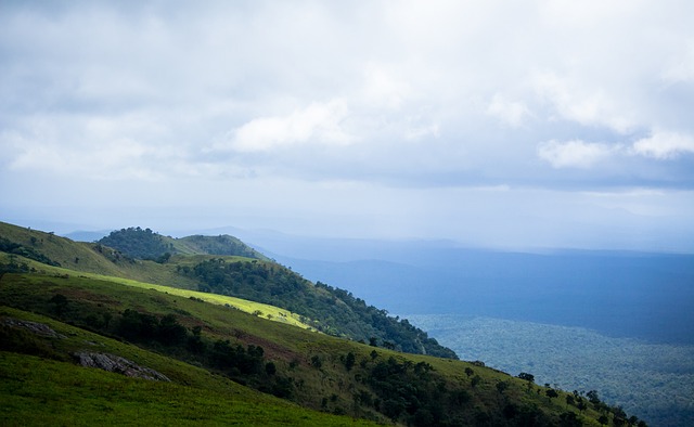 是一个值得 是一个值得