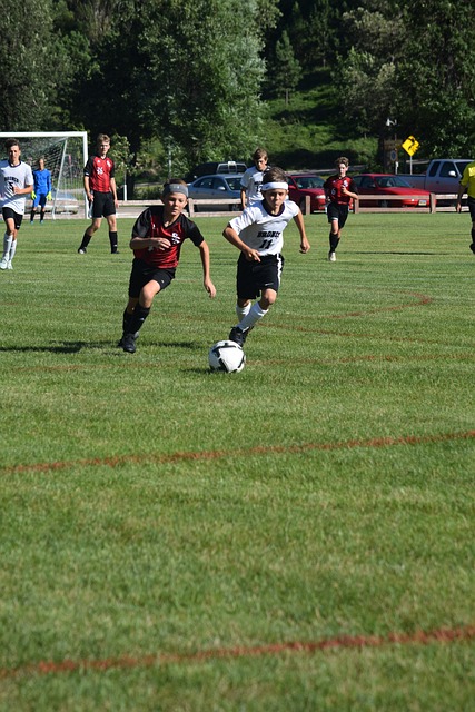 豪门敲响了 豪门敲响了