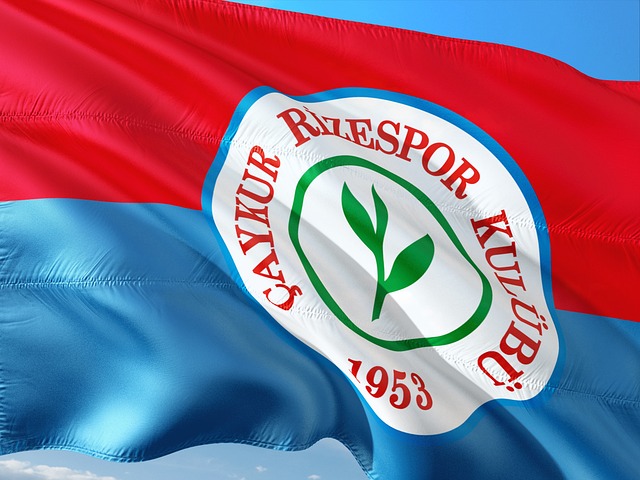 平衡的进攻 平衡的进攻